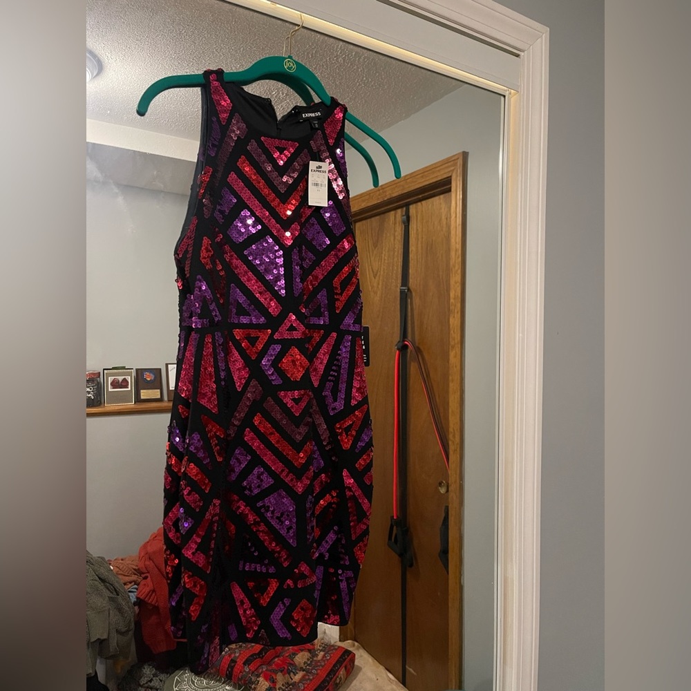 Express Sequined Form Fitting Dress